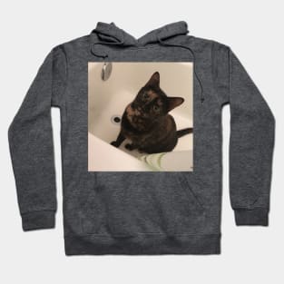 Bath Cat Hoodie